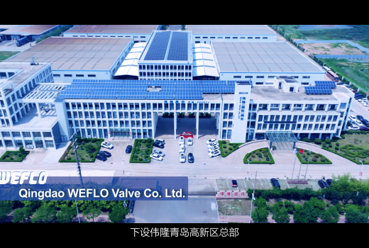 青岛宣传片拍摄选哪家？新视点网络，用专业实力打造企业视觉名片