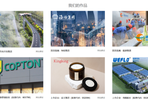 2026年青岛网站建设案例真实性声明